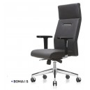 Kursi Direktur Ichiko Bonia I S