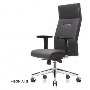 Kursi Direktur Ichiko Bonia I S