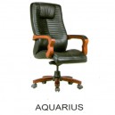 Kursi Direktur Fantoni Aquarius