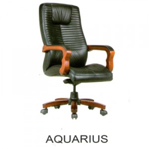 Kursi Direktur Fantoni Aquarius