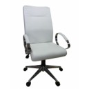 Kursi Direktur Tiger T Raiso