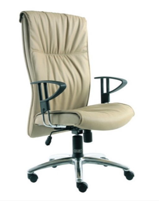 Kursi Direktur Savello Tera HA