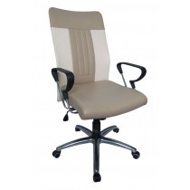 Kursi Direktur Tiger T 2110